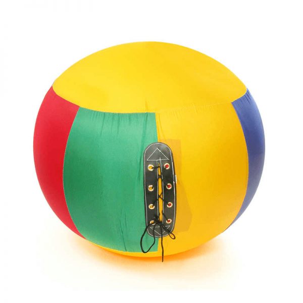 AMERICAN EDUCATIONAL PROD BALANCE BALL AEPYTC019