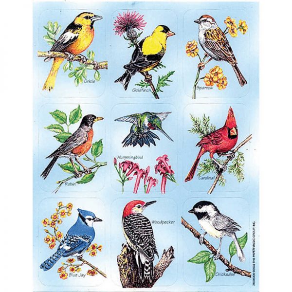 EUREKA BIRDS GIANT STICKERS EU-650630