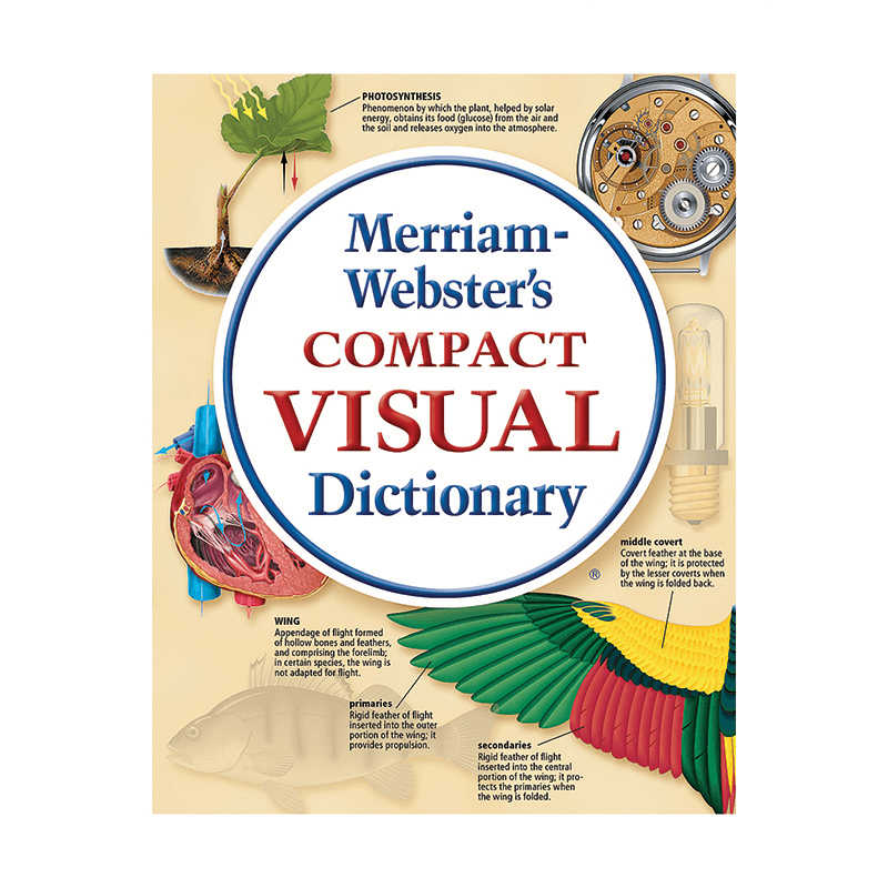 Base Definition & Meaning - Merriam-Webster