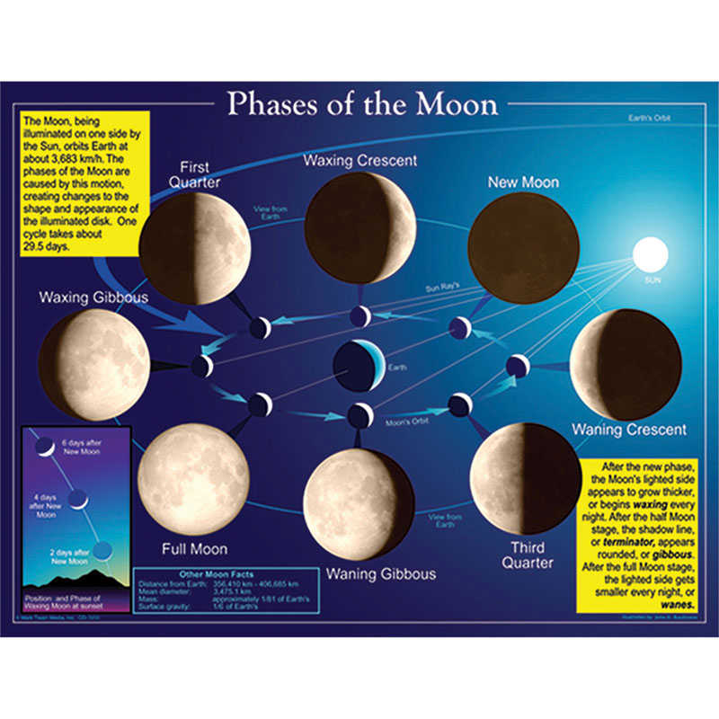 The Moon Phases Explained (Diagram Included)