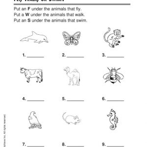 Learning about animals: FLY, WALK, OR SWIM? by Harcourt Achieve Inc.