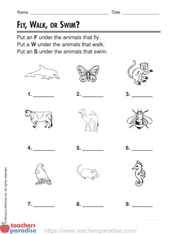 Learning about animals: FLY, WALK, OR SWIM? by Harcourt Achieve Inc ...