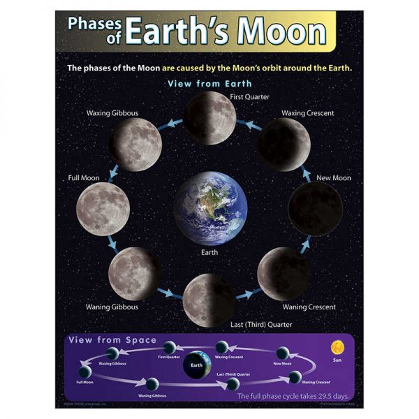 TeachersParadise - TREND Phases of Earth's Moon Learning Chart, 17